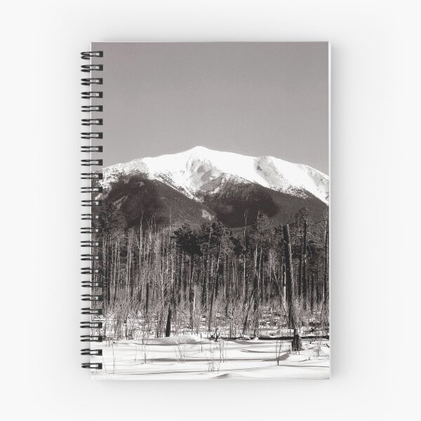 Item preview, life and death, forest fire aftermath designed and sold by Rees Gordon.