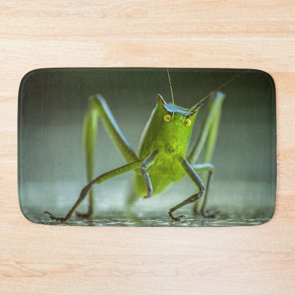Item preview, Green Bug with Long Legs designed and sold by Steven Jodoin.