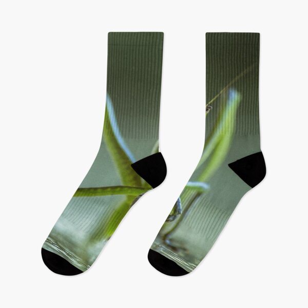 Item preview, Green Bug with Long Legs designed and sold by Steven Jodoin.