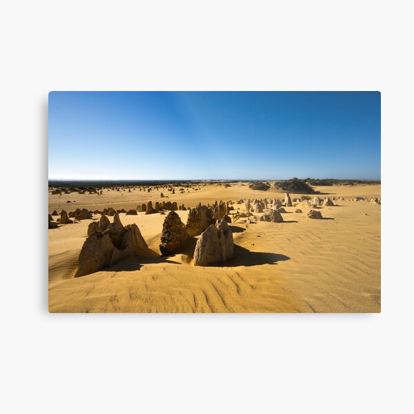 The Pinnacles, Western Australia Metal Print