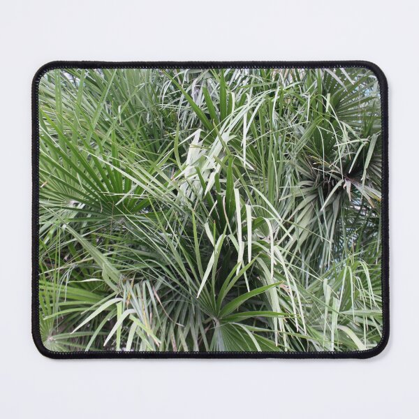 Item preview, Plethora Of Palm Fronds Abstract Photography designed and sold by taiche.