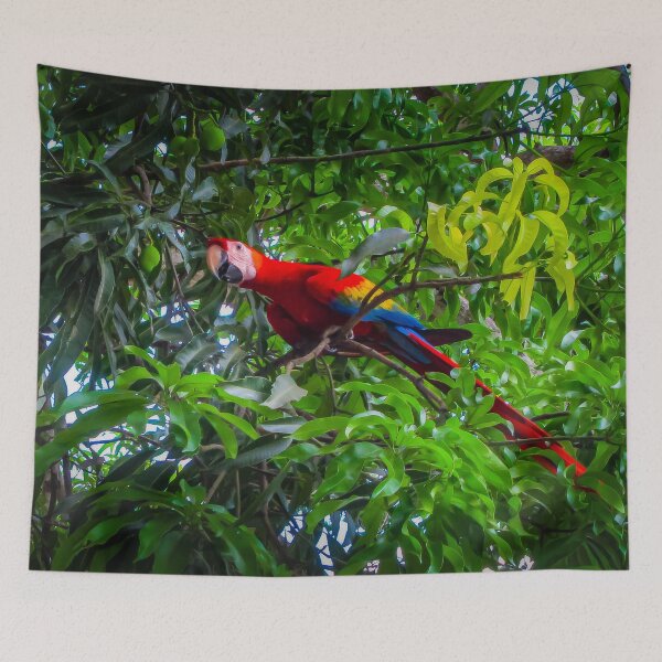 Item preview, Scarlet Macaw In Costa Rica Forest designed and sold by Nicklas81.