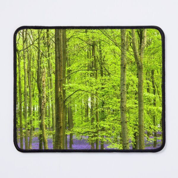 Item preview, Bluebells of Dockey Wood designed and sold by JRussell-Photo.
