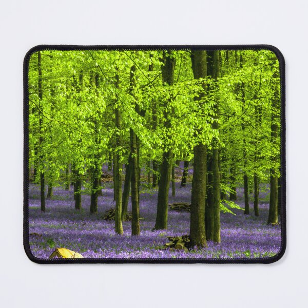 Item preview, Bluebells of Dockey Wood designed and sold by JRussell-Photo.