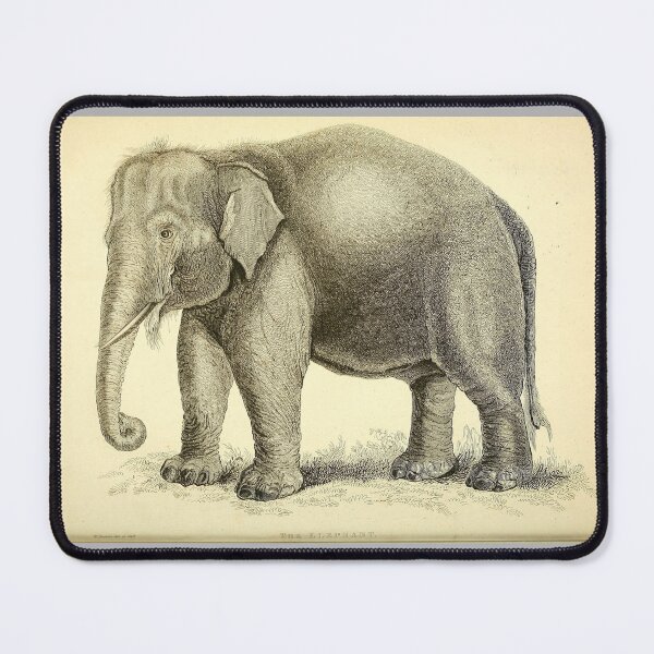 Item preview, Elephant  designed and sold by Amanda1775.