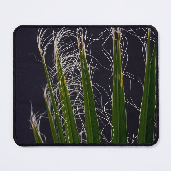 Item preview, Palm Fronds Close Up Against Grey Background Photography designed and sold by taiche.