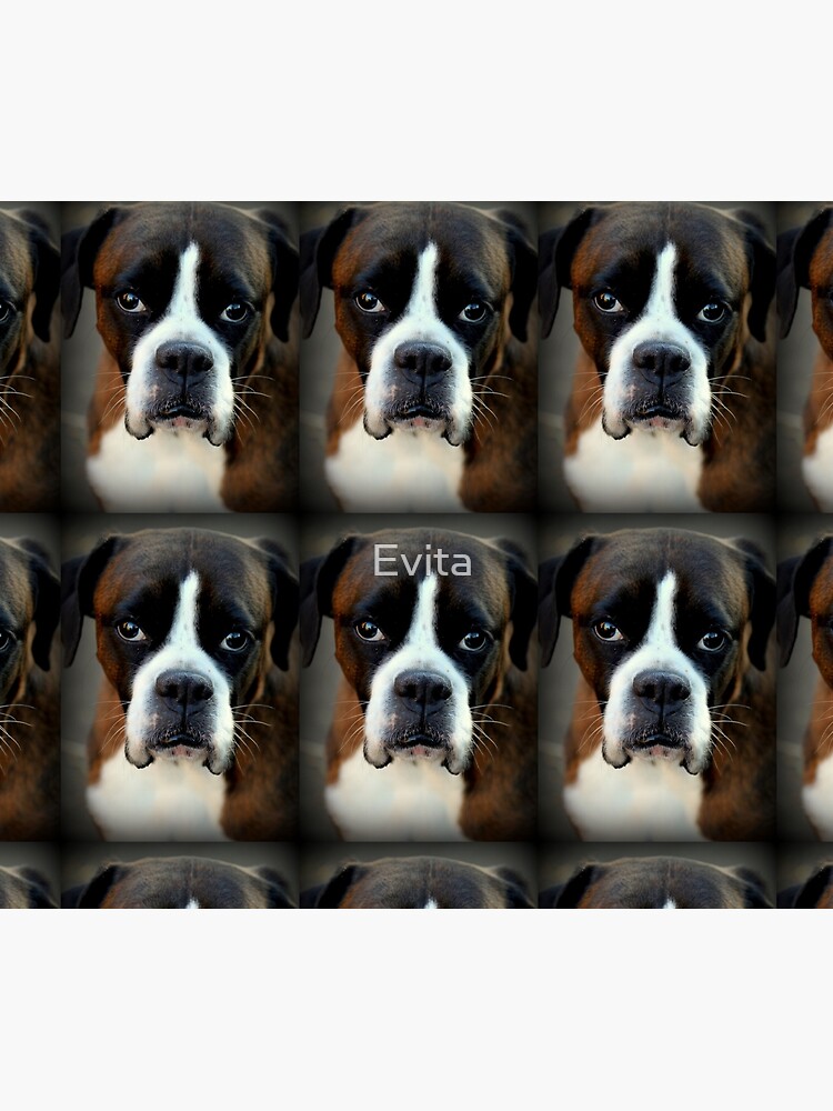 Remembering Arwen Boxer Dogs Series Duvet Cover By Evita