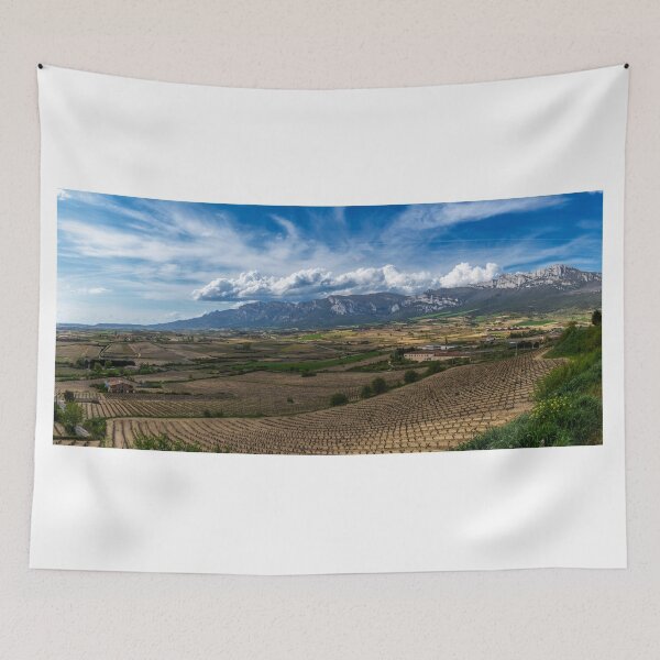Aperçu de l'œuvre La Rioja Alavesa créée et vendue par DiFigianoPhoto.