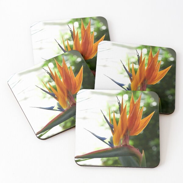 Item preview, Spiky. Bird of paradise flower designed and sold by Jouko Lehto Photography.