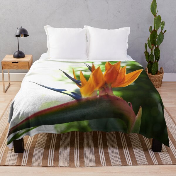 Item preview, Spiky. Bird of paradise flower designed and sold by Jouko Lehto Photography.