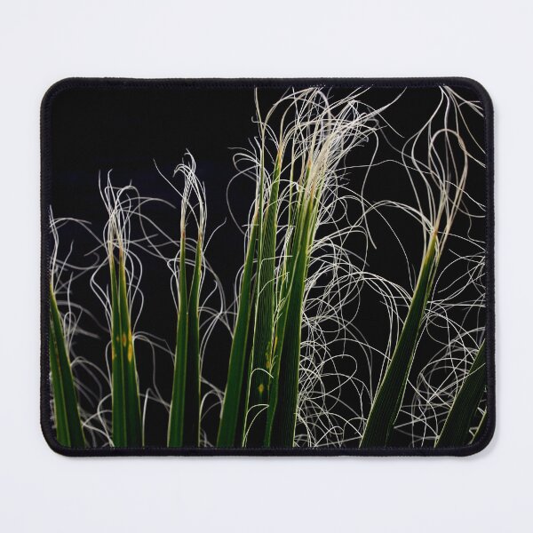 Item preview, Palm Frond Close Up Photographic Abstract designed and sold by taiche.