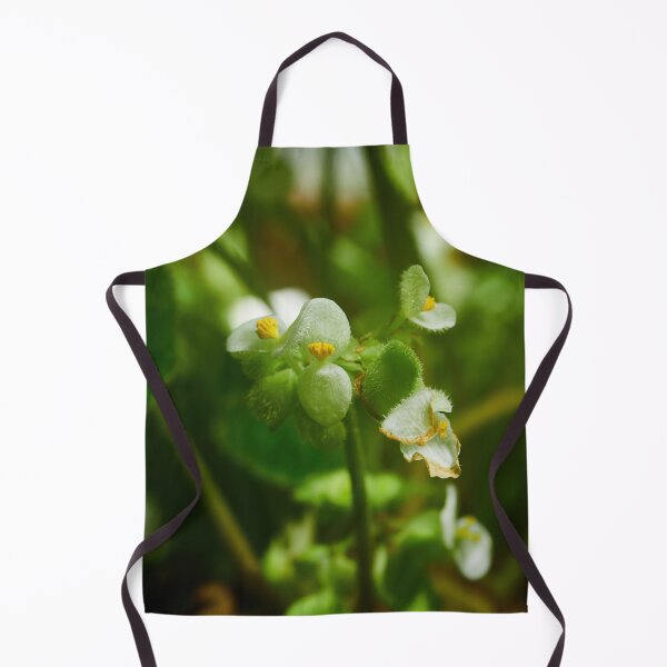 Item preview, Begonia crassicaulis designed and sold by Jouko Lehto Photography.