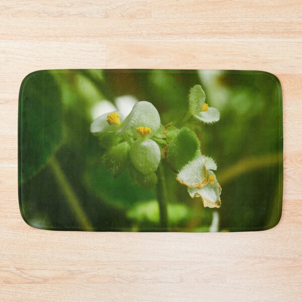 Item preview, Begonia crassicaulis designed and sold by Jouko Lehto Photography.