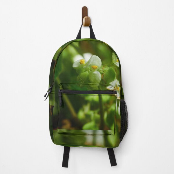Item preview, Begonia crassicaulis designed and sold by Jouko Lehto Photography.
