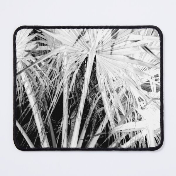 Item preview, Palm Trees Tropical Vibes White Silhouette Negative Photography designed and sold by taiche.