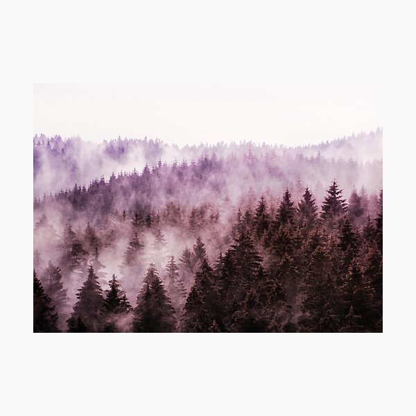 Item preview, Why Don't We Disappear // A Fuchsia Raspberry Fairytale Forest With Cascadia Trees Covered In Magic Fog designed and sold by Tordis Kayma.