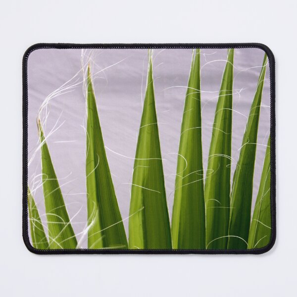 Item preview, Tropical Fan Palm Fronds Abstract Photography  designed and sold by taiche.