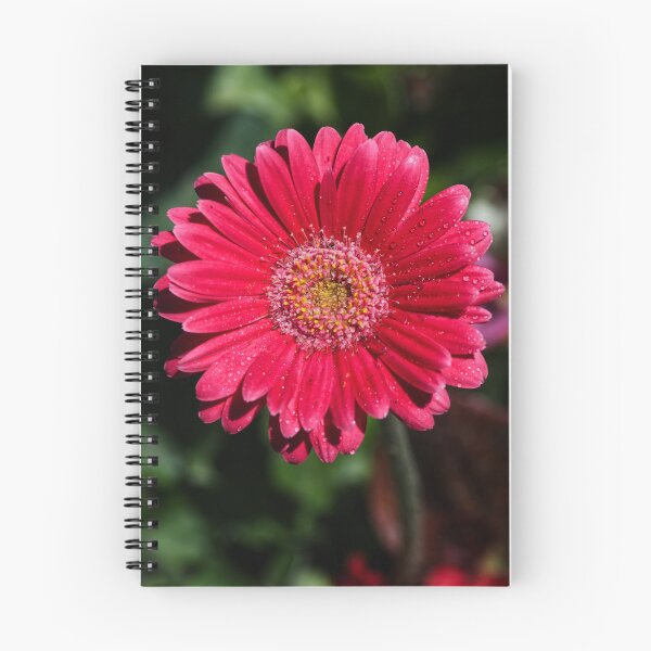 Item preview, Gerbera designed and sold by days-photographic.