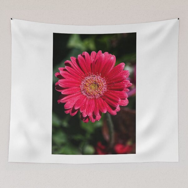 Item preview, Gerbera designed and sold by days-photographic.