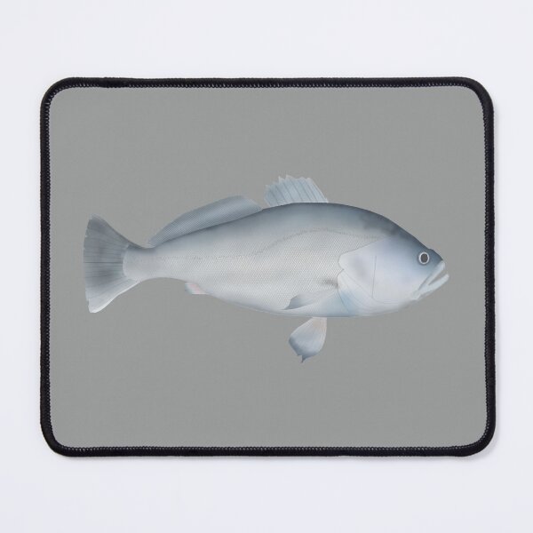 Item preview, Pacora designed and sold by fishfolkart.