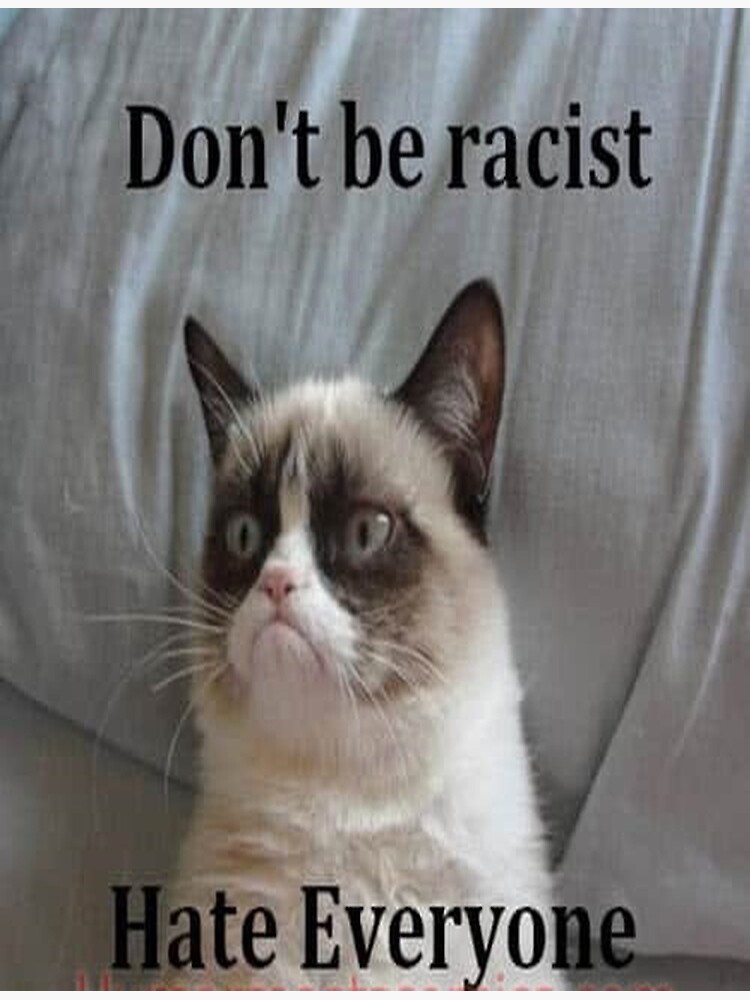 "cat hates everyone" Poster for Sale by ParamedicDesign Redbubble