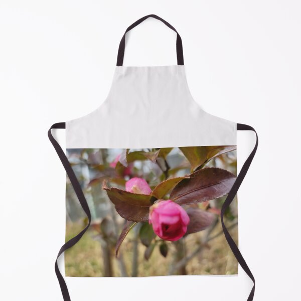 Item preview, Camellia on the weir of the Yeongsan River next to the Sports Complex in Buk-gu, Gwangju,korea designed and sold by human8891.
