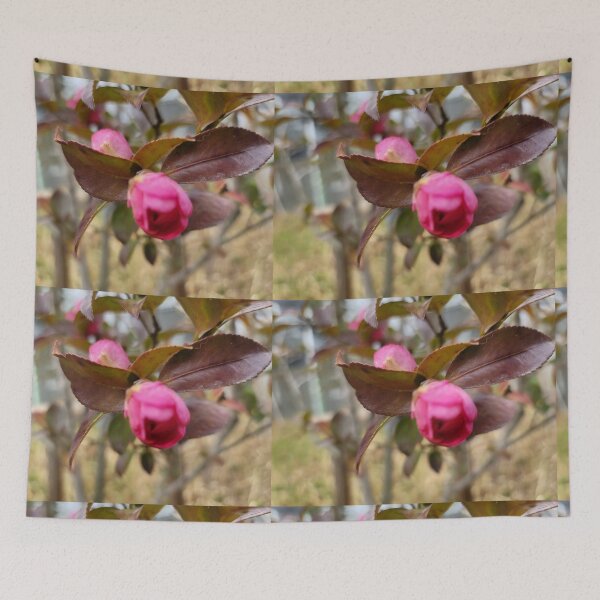 Item preview, Camellia on the weir of the Yeongsan River next to the Sports Complex in Buk-gu, Gwangju,korea designed and sold by human8891.