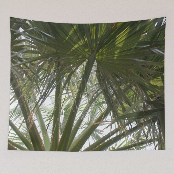 Item preview, Dark Green Mediterranean Palm Leaves Photography designed and sold by taiche.
