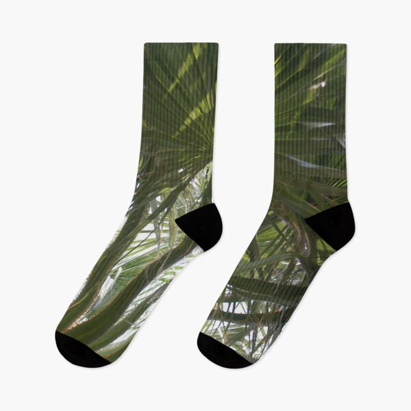 Item preview, Dark Green Mediterranean Palm Leaves Photography designed and sold by taiche.