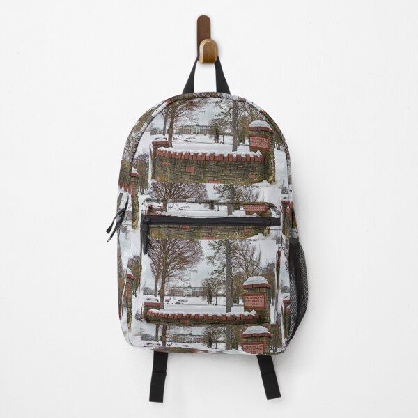 Item preview, Baptist Home designed and sold by Frankie Cat Photography.