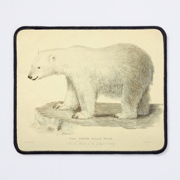 Item preview, Polar Bear designed and sold by Amanda1775.