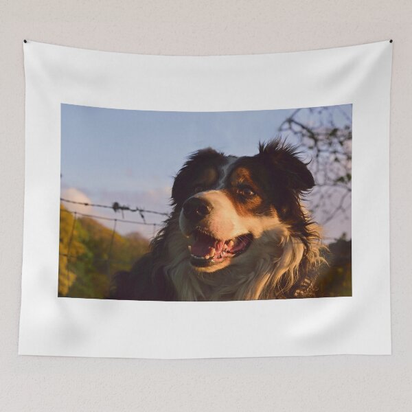 Item preview, Going for gold. designed and sold by Michael Haslam.