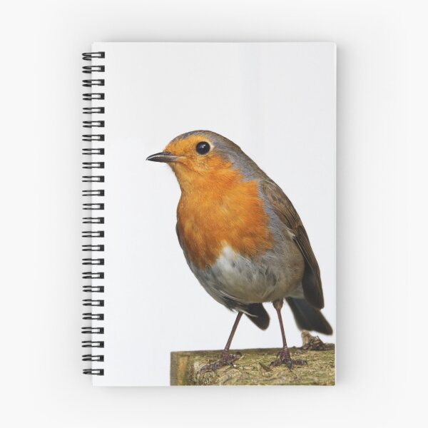 Item preview, Robin designed and sold by days-photographic.