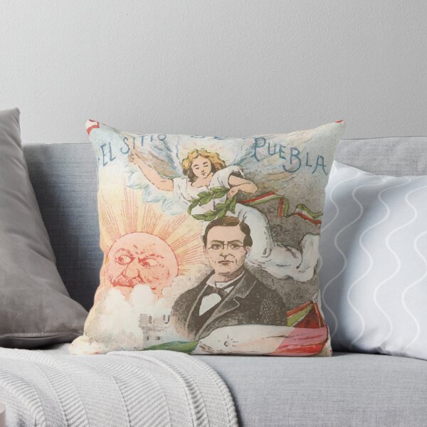 Item preview, El Cinco de Mayo True Meaning designed and sold by hogfishstudios.