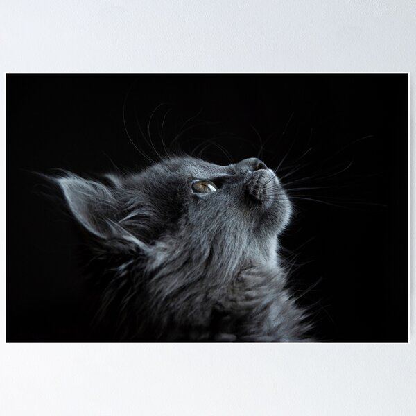 your art your idea in just one site, enjoy and surprise if Poster