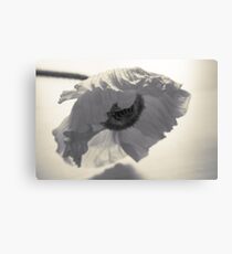 Crumpled Canvas Print