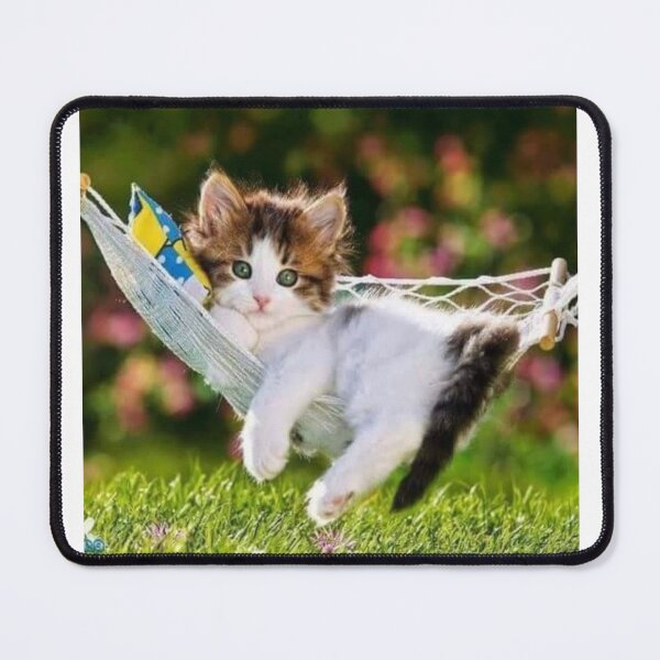 Item preview, kitten in the Hammock designed and sold by FloranceR.