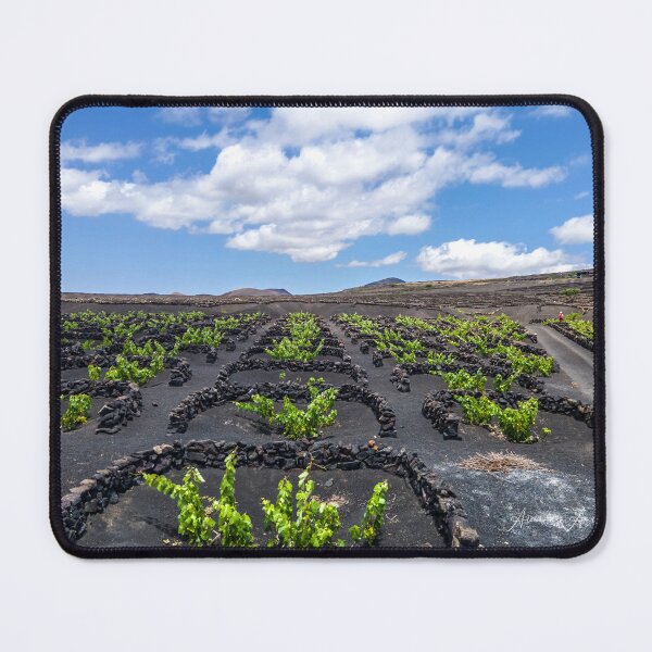Item preview, Drone Flight on the vineyard designed and sold by Alessandra Antonini.