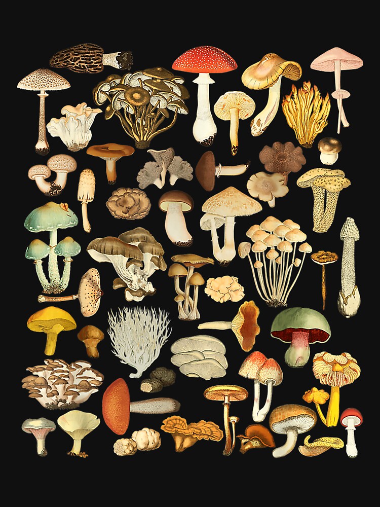 Thumbnail 7 of 7, Classic T-Shirt, Mushroom Mycology Fungi Foraging Mushroom Whisperer designed and sold by Earlene2365.