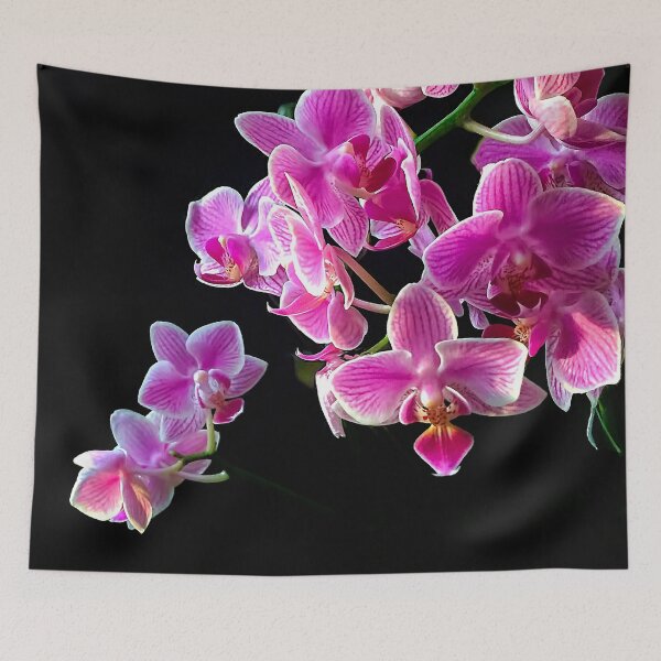 Item preview, Pink Moth Orchid designed and sold by Susan Maxwell Schmidt.