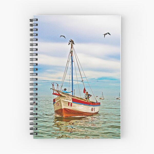 Aperçu de l'œuvre Piura Boats, Pérou créée et vendue par David  Perea.