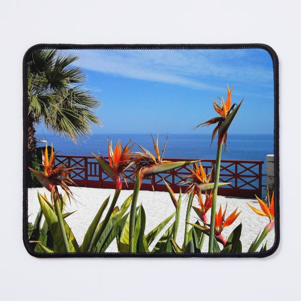 Item preview, Beaulieu Sur Mer - French Riviera designed and sold by Frogmuse.