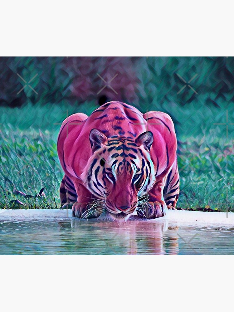 Poster Nature Animaux Tigre