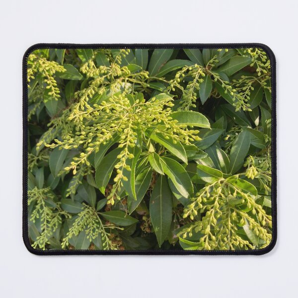 Item preview, Foliage designed and sold by Amanda1775.