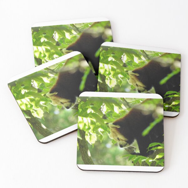 Item preview, Red Panda designed and sold by andrew82984.