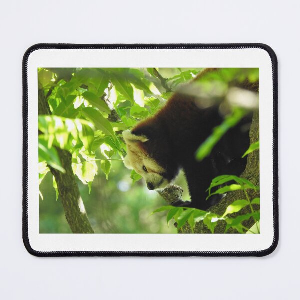 Item preview, Red Panda designed and sold by andrew82984.