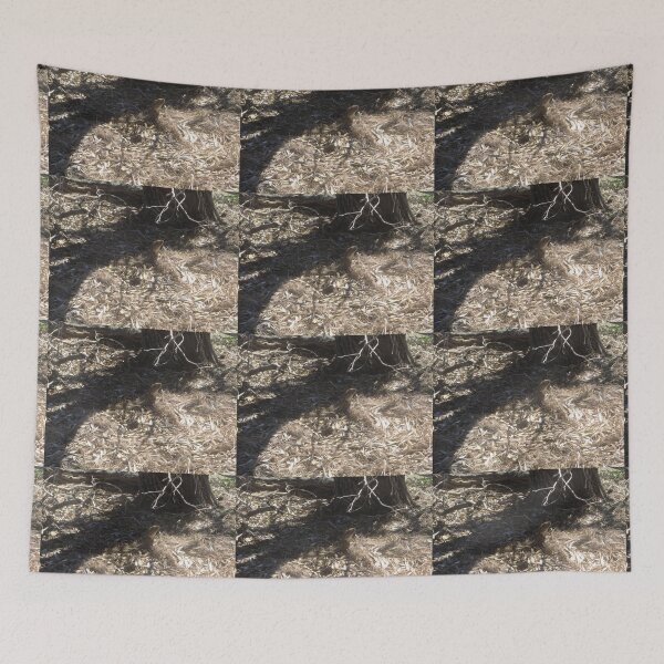 Item preview, Lizard, Yamba, NSW, Australia 2016 designed and sold by muz2142.