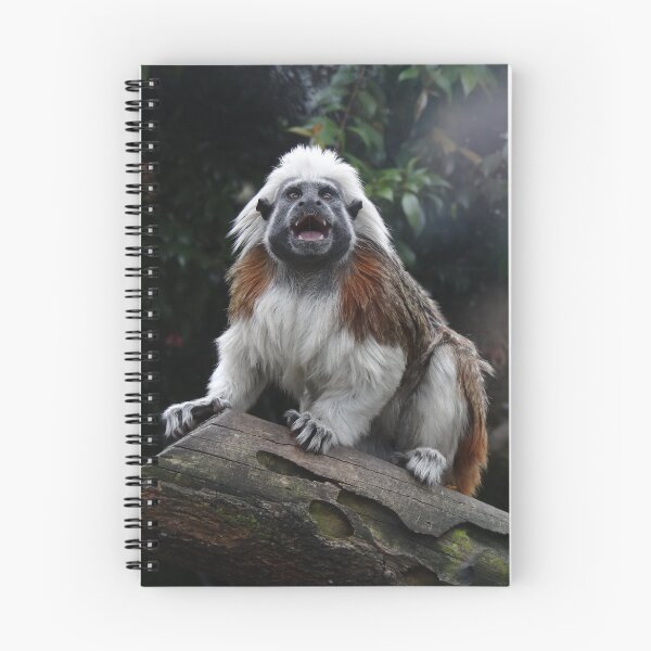 Item preview, Cotton Top Tamarin  designed and sold by Amanda1775.