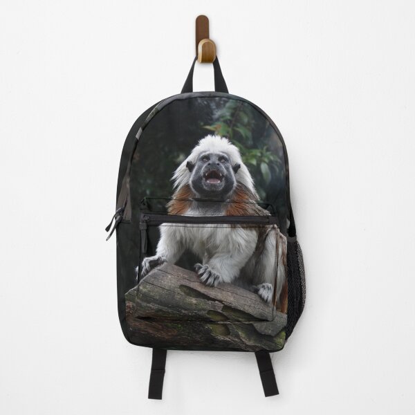 Item preview, Cotton Top Tamarin designed and sold by Amanda1775.