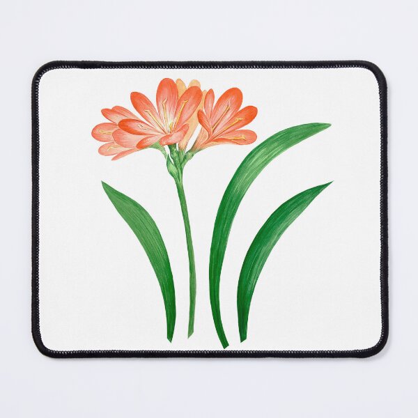 Item preview, Flowers, flower, spring, summer. Blooming clivia. designed and sold by AnaGuziiArt.